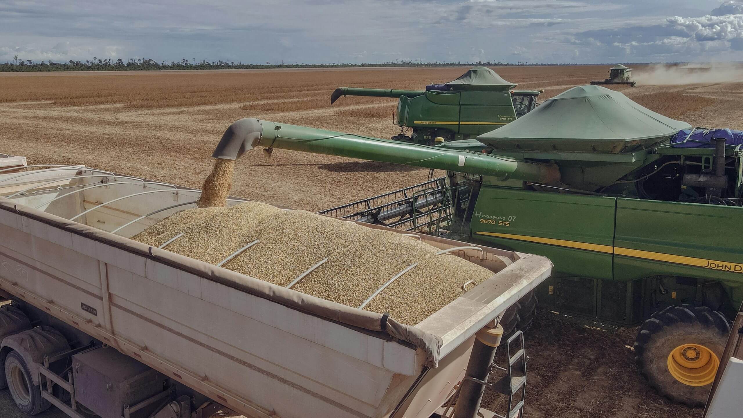 Combine harvester unloading grain into a trailer, representing Dania General Trading's agricultural sourcing network